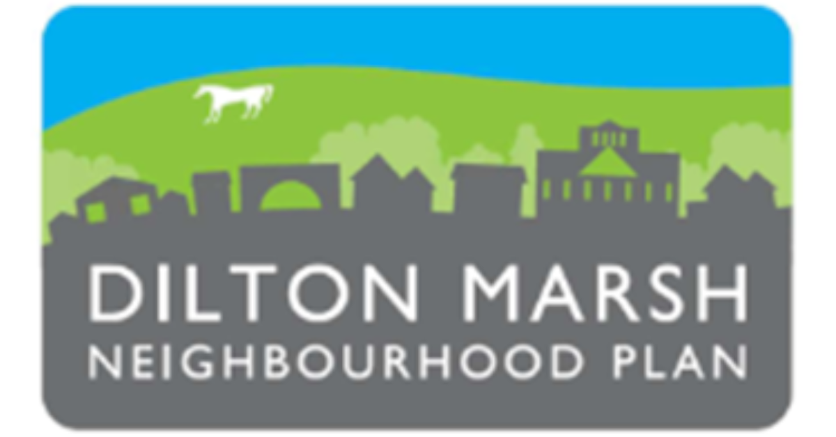 Dilton Marsh NDP referendum